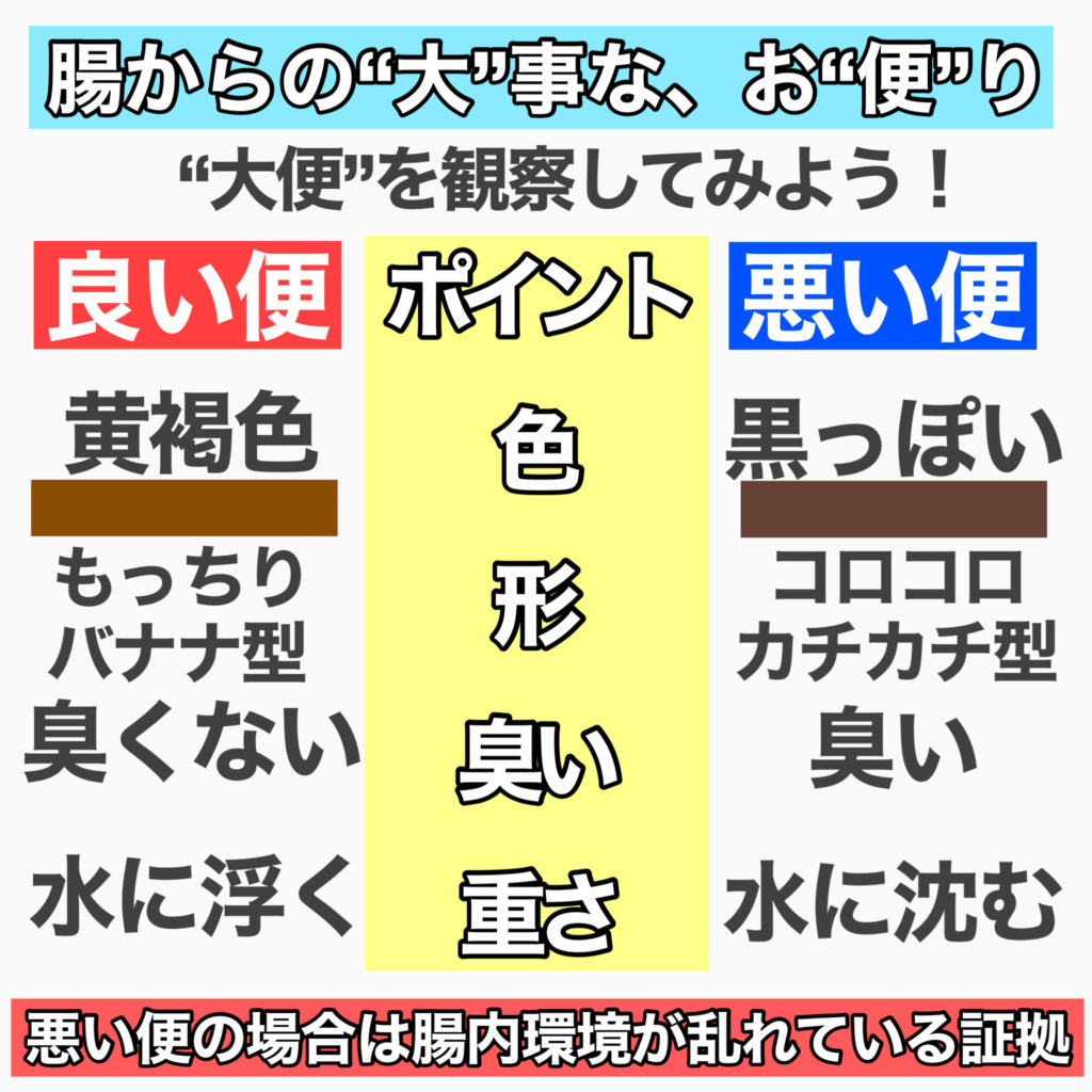 腸内環境をチェック!腸を汚す原因 | 名古屋 栄 タイコ接骨院